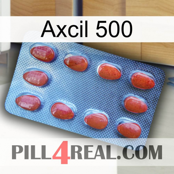 Axcil 500 06.jpg